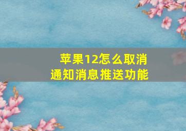 苹果12怎么取消通知消息推送功能