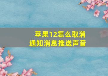 苹果12怎么取消通知消息推送声音