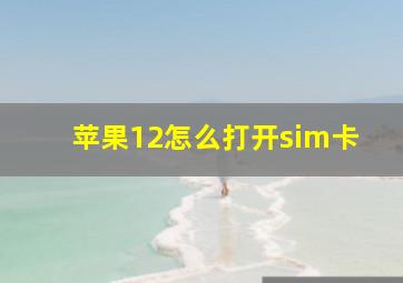 苹果12怎么打开sim卡