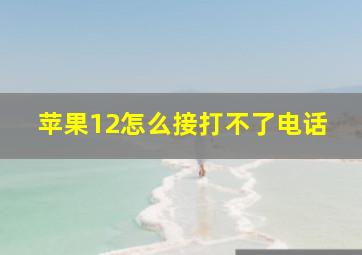 苹果12怎么接打不了电话