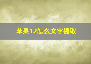 苹果12怎么文字提取