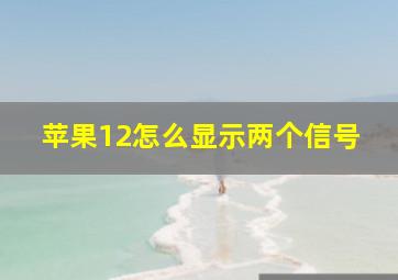 苹果12怎么显示两个信号