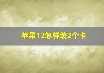 苹果12怎样装2个卡