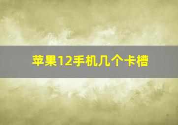 苹果12手机几个卡槽