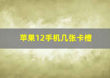 苹果12手机几张卡槽