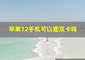 苹果12手机可以插双卡吗