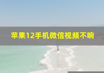 苹果12手机微信视频不响