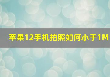 苹果12手机拍照如何小于1M