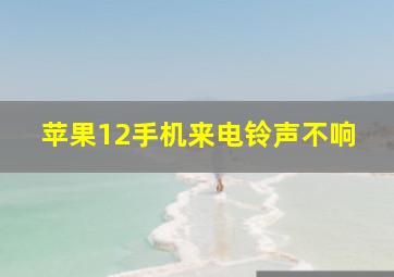 苹果12手机来电铃声不响