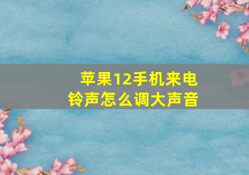 苹果12手机来电铃声怎么调大声音