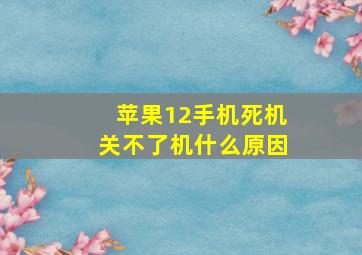 苹果12手机死机关不了机什么原因