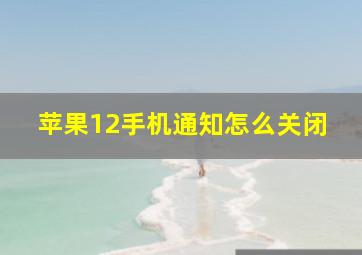 苹果12手机通知怎么关闭