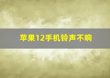 苹果12手机铃声不响