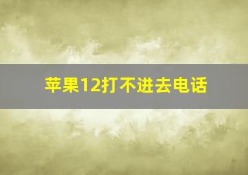 苹果12打不进去电话