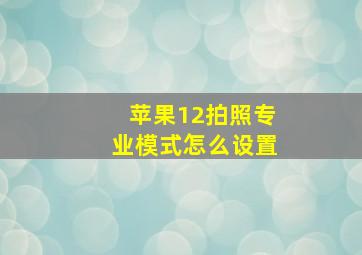 苹果12拍照专业模式怎么设置