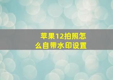 苹果12拍照怎么自带水印设置