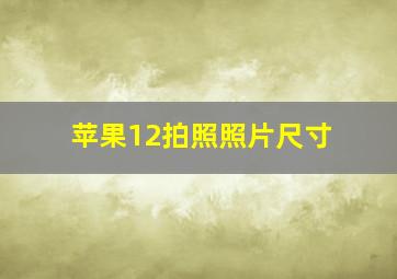 苹果12拍照照片尺寸