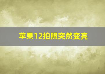 苹果12拍照突然变亮