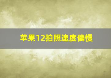 苹果12拍照速度偏慢