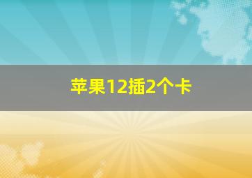 苹果12插2个卡