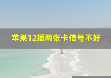 苹果12插两张卡信号不好