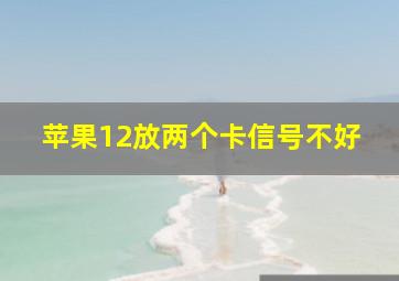 苹果12放两个卡信号不好