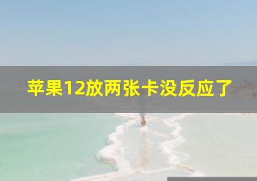 苹果12放两张卡没反应了