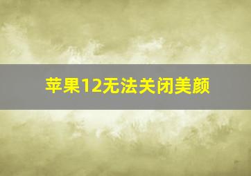 苹果12无法关闭美颜