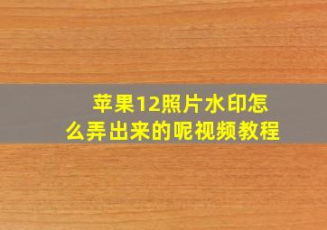 苹果12照片水印怎么弄出来的呢视频教程