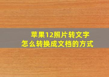 苹果12照片转文字怎么转换成文档的方式