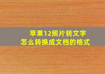 苹果12照片转文字怎么转换成文档的格式