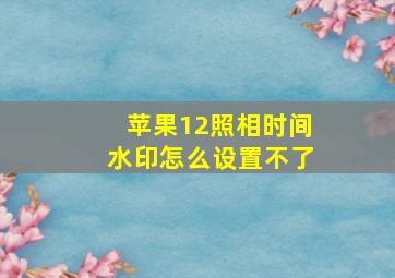 苹果12照相时间水印怎么设置不了