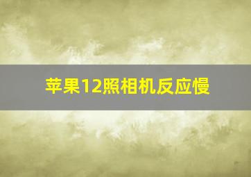 苹果12照相机反应慢