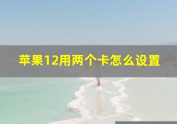 苹果12用两个卡怎么设置