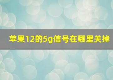 苹果12的5g信号在哪里关掉