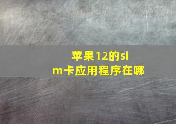 苹果12的sim卡应用程序在哪