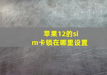 苹果12的sim卡锁在哪里设置