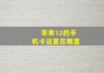 苹果12的手机卡设置在哪里