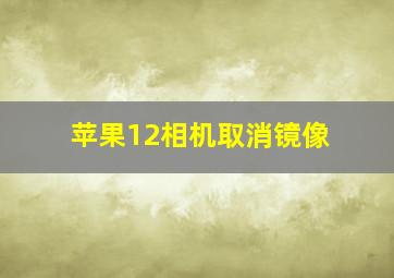 苹果12相机取消镜像