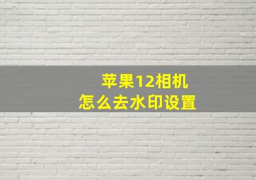 苹果12相机怎么去水印设置