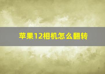 苹果12相机怎么翻转