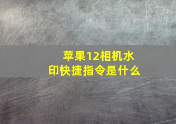 苹果12相机水印快捷指令是什么