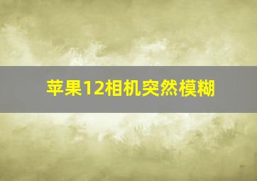 苹果12相机突然模糊