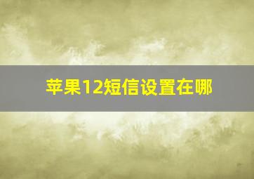 苹果12短信设置在哪