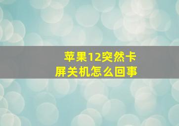 苹果12突然卡屏关机怎么回事