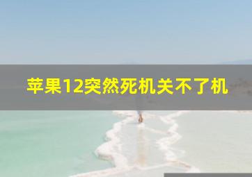 苹果12突然死机关不了机