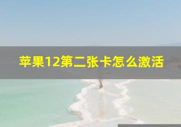 苹果12第二张卡怎么激活