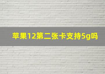 苹果12第二张卡支持5g吗