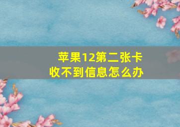 苹果12第二张卡收不到信息怎么办