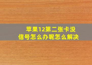 苹果12第二张卡没信号怎么办呢怎么解决